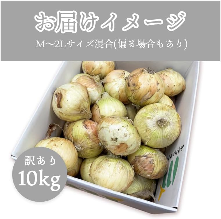 玉ねぎ 淡路島 3kg/5kg/10kg サイズお任せ(M〜2L) 国産 皮茶 玉葱 たまねぎ タマネギ 皮 保存野菜 常備野菜