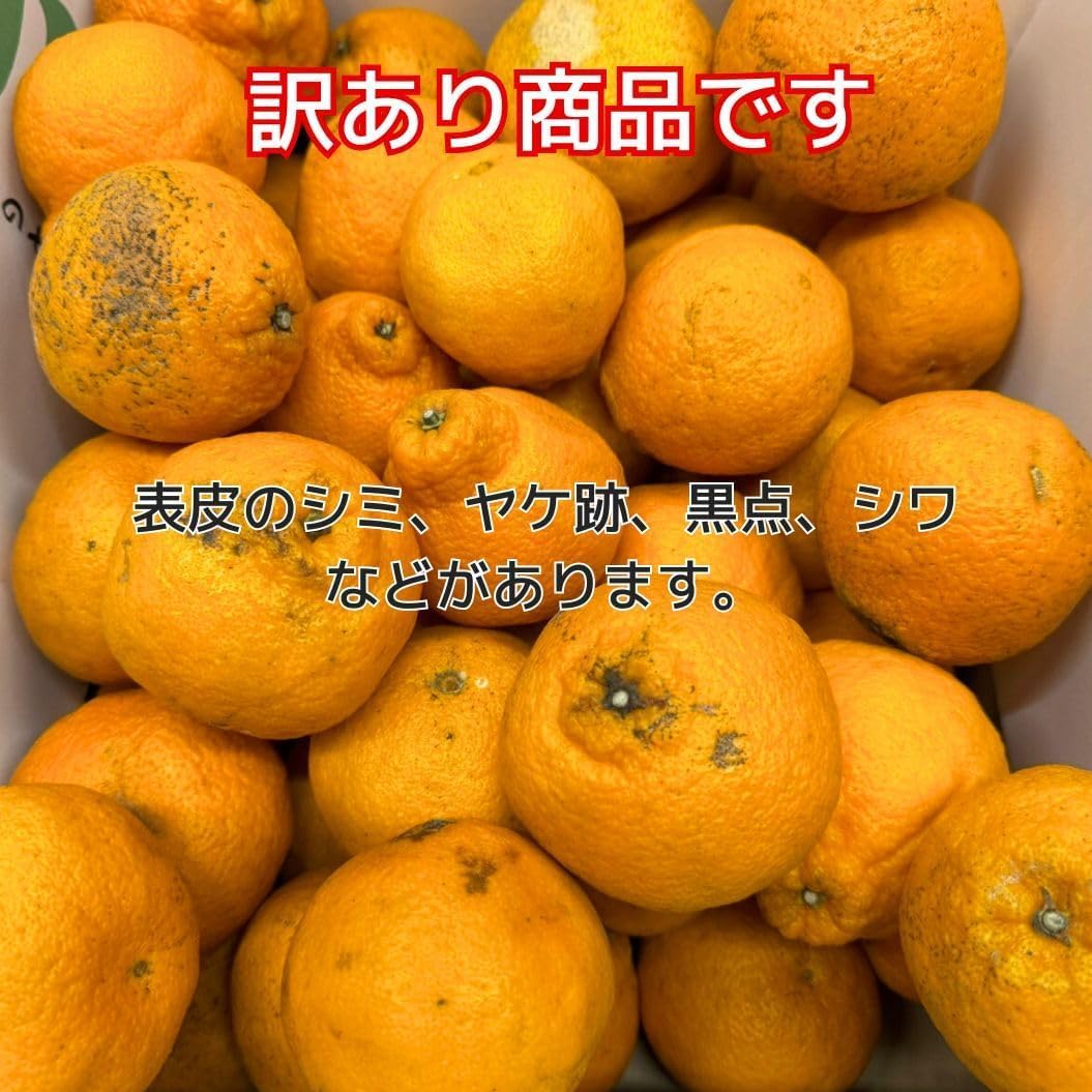 デコポン 訳あり 和歌山産2kg/5kg10kg 国産 (傷・変形・黒シミ・サイズ不揃い・サイズ偏りあり) でこぽん 不知火 しらぬい 柑橘 甘い 大玉 箱 みかん