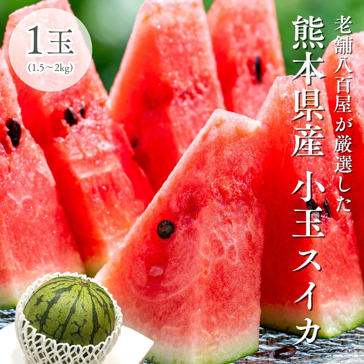 小玉西瓜 すいか 熊本県産 1玉（1.5～2kg） 2玉（合計3～4kg） 完熟