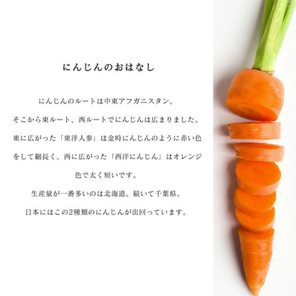 にんじん 5kg/10kg 訳あり 人参 おまかせ 野菜 生活 新鮮 美味しい 北海道産 長崎産 千葉産