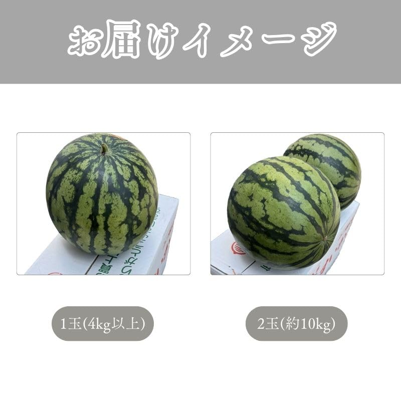 すいか 熊本県産 1玉(4kg以上)/2玉(合計約10kg) 完熟