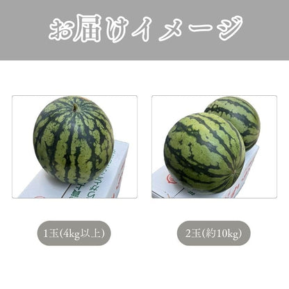 すいか 熊本県産 1玉(4kg以上)/2玉(合計約10kg) 完熟