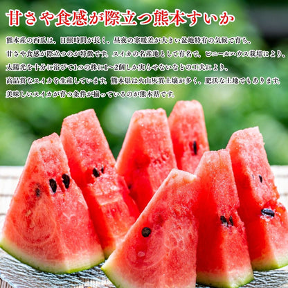 小玉西瓜 すいか 熊本県産 1玉（1.5～2kg） 2玉（合計3～4kg） 完熟