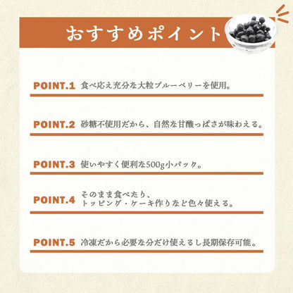 ブルーベリー 冷凍 500g 1kg (500g x 2パック) 大粒 カナダ産 砂糖不使用