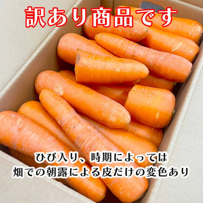 にんじん 5kg/10kg 訳あり 人参 おまかせ 野菜 生活 新鮮 美味しい 北海道産 長崎産 千葉産