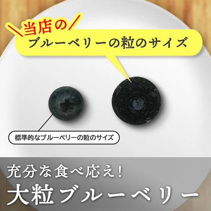 ブルーベリー 冷凍 500g 1kg (500g x 2パック) 大粒 カナダ産 砂糖不使用