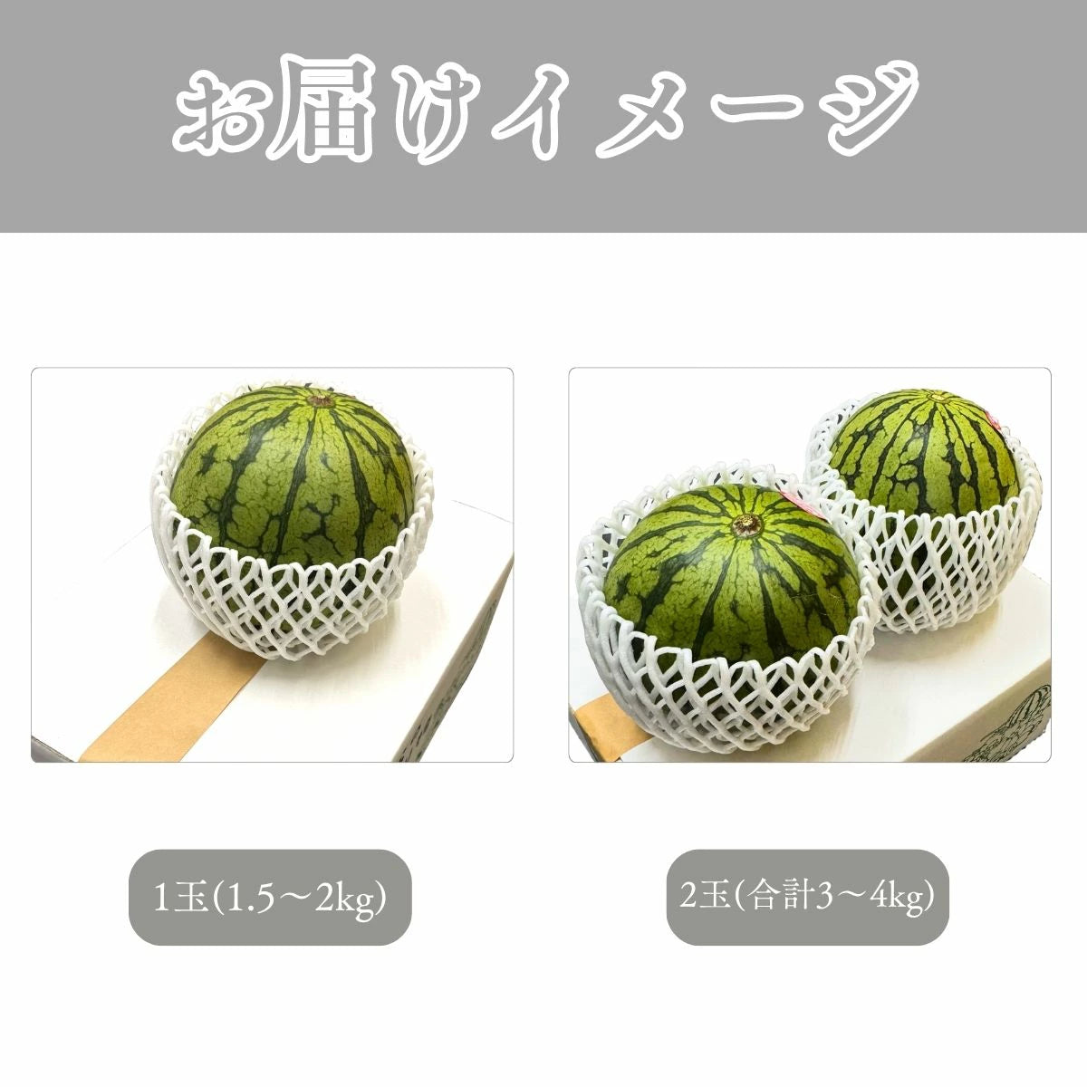 小玉西瓜 すいか 熊本県産 1玉（1.5～2kg） 2玉（合計3～4kg） 完熟