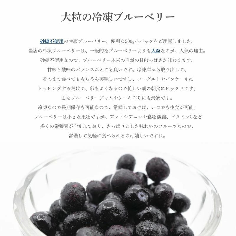 ブルーベリー 冷凍 500g 1kg (500g x 2パック) 大粒 カナダ産 砂糖不使用