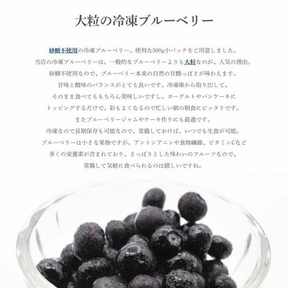ブルーベリー 冷凍 500g 1kg (500g x 2パック) 大粒 カナダ産 砂糖不使用