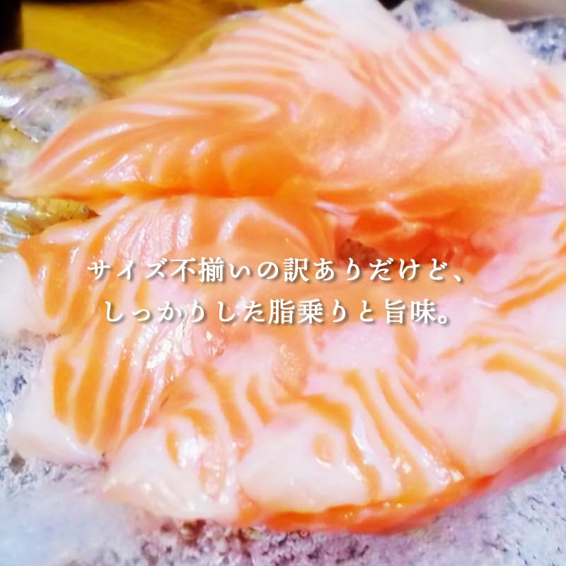 訳あり サーモン ハラス 切り落とし 200g 600g (200gx3) 1kg (200gx5) 刺身用 冷凍 アトランティックサーモン 生食用 切り身