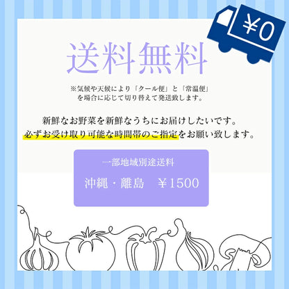 選べる野菜セット  2種/3種/4種　 5kg 詰め合わせ 北海道産