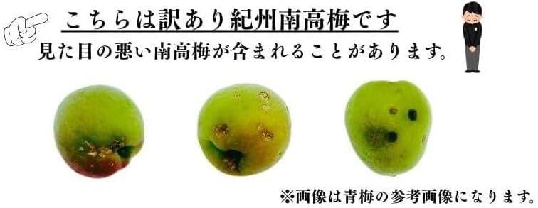 南高梅 生梅 小梅（青、黄色混ざり） 訳あり Sサイズ おまかせ 和歌山県1kg ／2kg／3kg／5kg／10kg うめ ご家庭用 紀州 なんこうばい