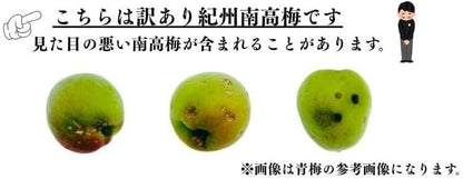 南高梅 生梅 小梅（青、黄色混ざり） 訳あり Sサイズ おまかせ 和歌山県1kg ／2kg／3kg／5kg／10kg うめ ご家庭用 紀州 なんこうばい