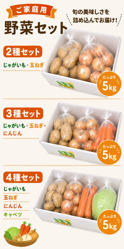 野菜セット