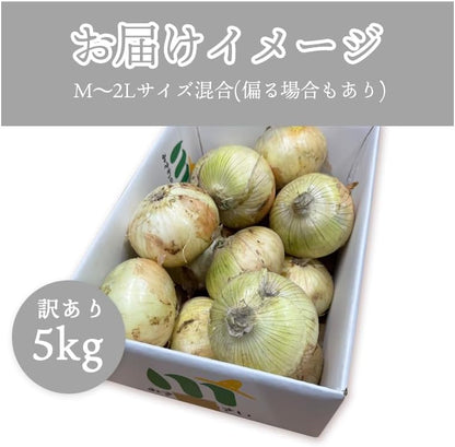 玉ねぎ 淡路島 3kg／5kg／10kg サイズお任せ(M〜2L) 国産 皮茶 玉葱 たまねぎ タマネギ 皮 保存野菜 常備野菜