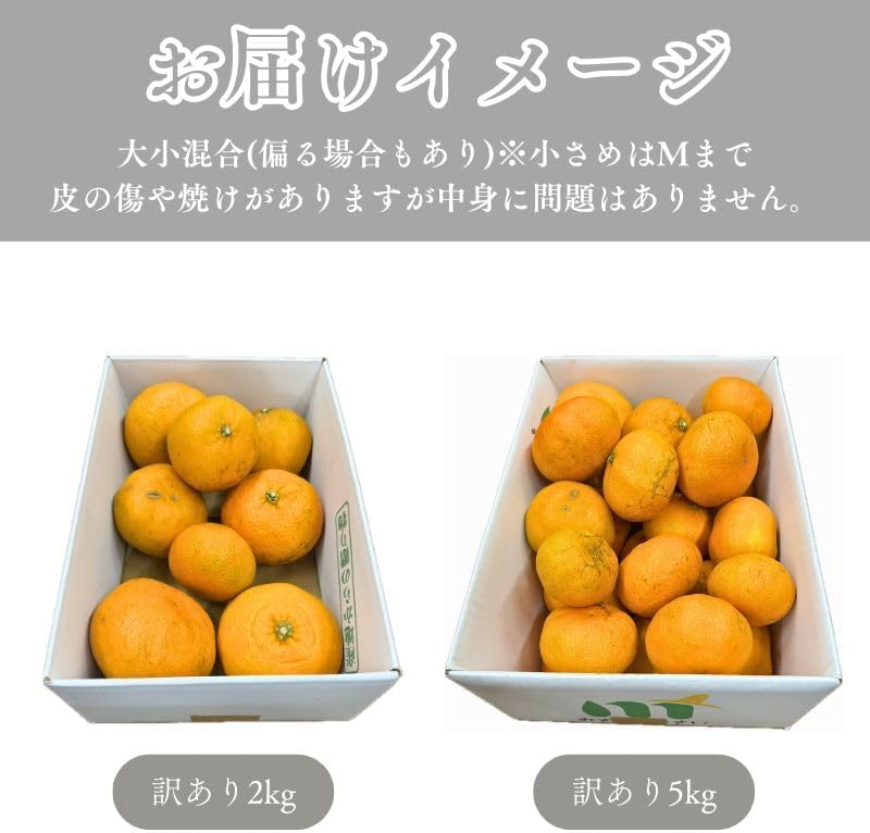 甘平みかん　ご家庭用　2kg／5kg　愛媛県産　【スレ、汚れ、黒点あり】