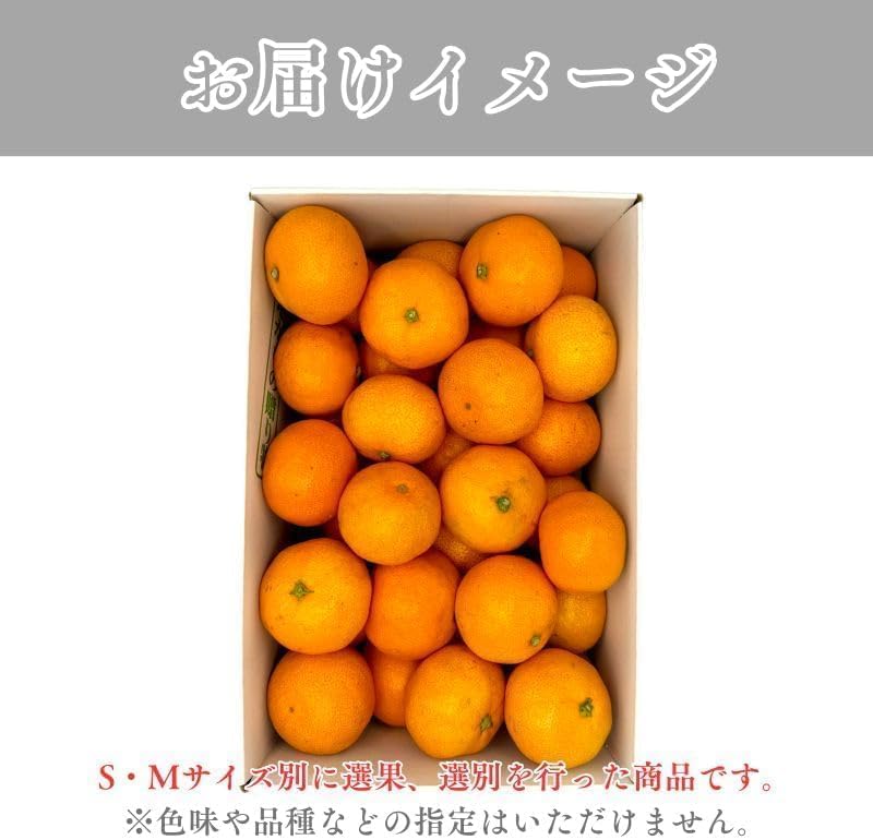 赤秀 みかん　贈答用　1.5kg／3kg／5kg (SMLサイズ)　愛媛県産　【選果選別済　老舗八百屋が厳選した石地ミカン】
