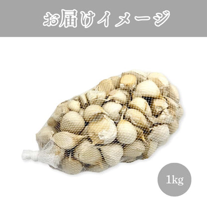 にんにく 国産 青森県産 バラ 500g/1kg 訳あり 福地ホワイト六片種 ニンニク バラにんにく 粒 ＜メール便＞