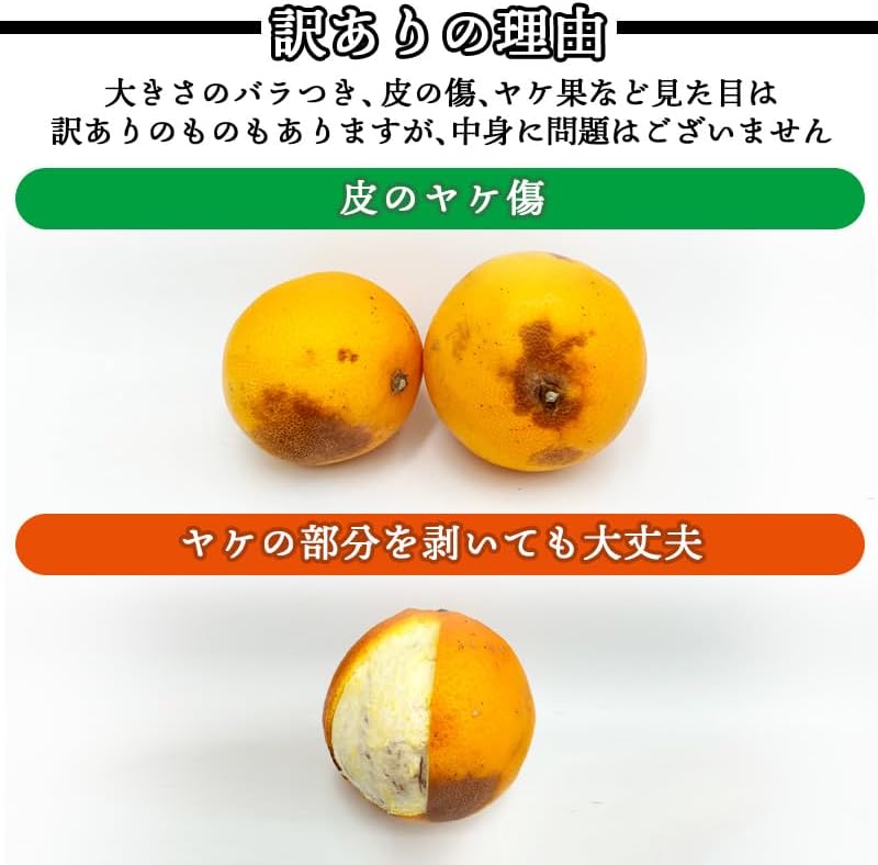ネーブル オレンジ 国産 訳あり 広島県産 5kg／10kg 不揃い ヤケ傷あり