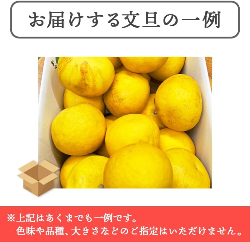 土佐文旦 訳あり サイズお任せ5kg（300g～1kg 約15玉） ／サイズお任せ10kg（300g～1kg 約25玉）／小玉のみ5kg（140g～300g 約20玉）／小玉のみ10kg（140g～300g 約40玉） 文旦 ぶんたん ブンタン 高知県産 サイズお任せ ご家庭用 スレ 汚れ 黒点あり