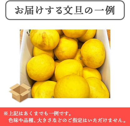 土佐文旦 訳あり サイズお任せ5kg（300g～1kg 約15玉） ／サイズお任せ10kg（300g～1kg 約25玉）／小玉のみ5kg（140g～300g 約20玉）／小玉のみ10kg（140g～300g 約40玉） 文旦 ぶんたん ブンタン 高知県産 サイズお任せ ご家庭用 スレ 汚れ 黒点あり