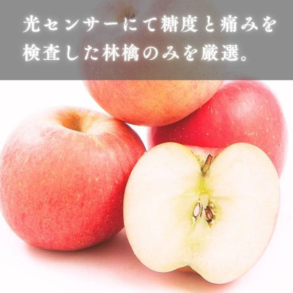 特選ふじりんご　2kg／5kg／10kg　 長野県産・その他　【 糖度13.5度以上　光センサー選別品】
