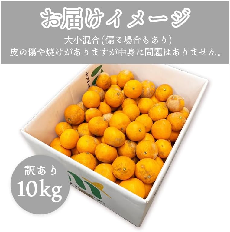 カラマンダリン　 ご家庭用　2kg／5kg／10kg　愛媛県産　【濃厚　ジューシー　スレ、汚れ、黒点あり】