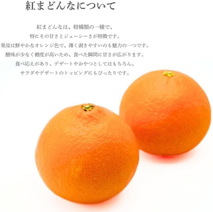 まどんな　贈答用　1.2kg ／3kg　愛媛県産　【化粧箱入り】