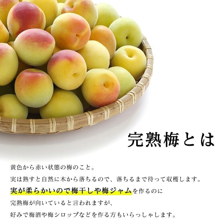 南高梅 生梅 小梅（青、黄色混ざり） 訳あり Sサイズ おまかせ 和歌山県1kg ／2kg／3kg／5kg／10kg うめ ご家庭用 紀州 なんこうばい