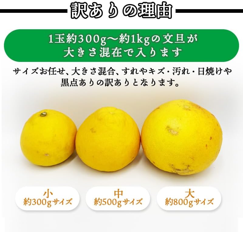 土佐文旦 訳あり サイズお任せ5kg（300g～1kg 約15玉） ／サイズお任せ10kg（300g～1kg 約25玉）／小玉のみ5kg（140g～300g 約20玉）／小玉のみ10kg（140g～300g 約40玉） 文旦 ぶんたん ブンタン 高知県産 サイズお任せ ご家庭用 スレ 汚れ 黒点あり