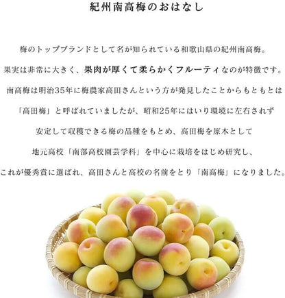 南高梅 生梅完熟梅/青梅/冷凍完熟梅 訳あり サイズ混合( L~3L ) おまかせ 和歌山県1kg/2kg/3kg/5kg/10kg うめ ご家庭用 紀州 なんこうばい