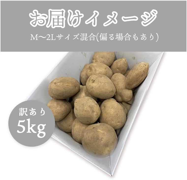 男爵3kg/5kg/10kg 北海道産 じゃがいも サイズお任せ(M〜2L) 訳あり 男爵イモ ジャガイモ 馬鈴薯 国産