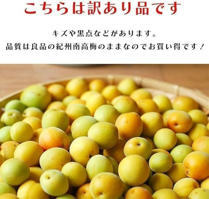 【冷凍】 南高梅 完熟梅 訳あり サイズ混合( M~3L ) おまかせ 和歌山県 1kg 冷凍 うめ ご家庭用 紀州 なんこうばい