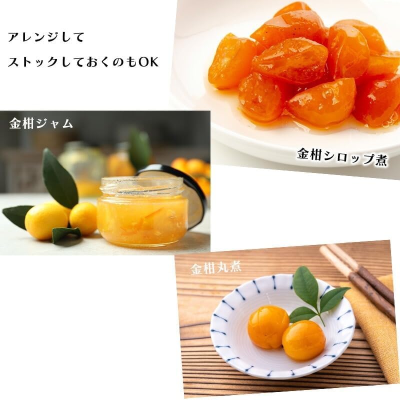きんかん　ご家庭用　1kg／2kg／3kg(2Lサイズ)　 宮崎県産　【スレ、汚れ、黒点あり】