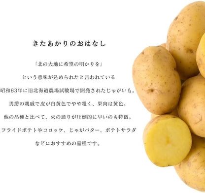 種芋 きたあかり 1kg/2kg じゃがいも 大きさ おまかせ じゃが芋 北海道産 国産