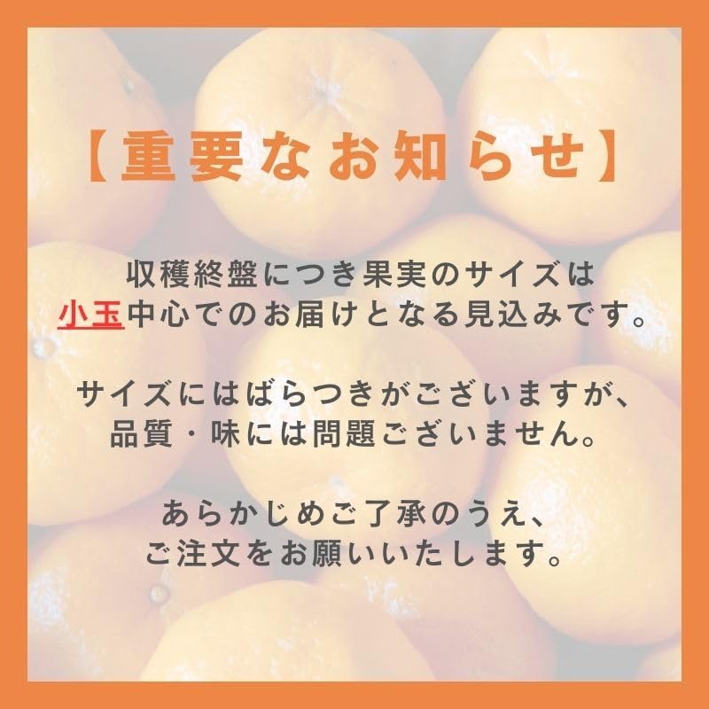 ぽんかん　ご家庭用　5kg／10kg　愛媛県産　【スレ、汚れ、黒点あり】