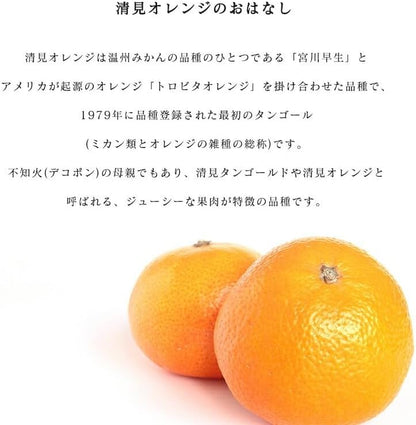 清見オレンジ 3kg／5kg／10kg 和歌山産 訳あり ご家庭用 箱 きよみ 清見タンゴール