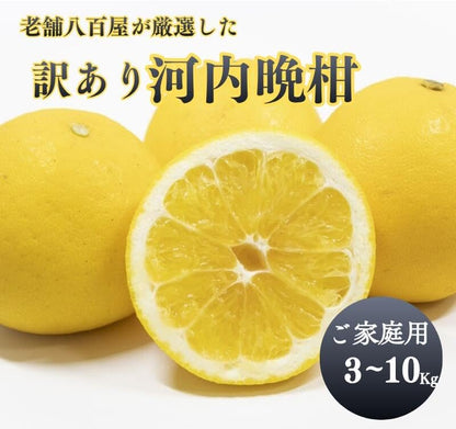 河内晩柑 訳あり3kg/5kg/10kg かわちばんかん 晩柑 愛媛県産 ご家庭用 スレ 汚れ 黒点あり