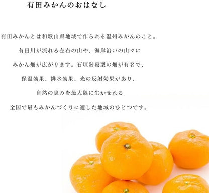 有田みかん　ご家庭用　1.5kg／3kg／5kg／10kg　和歌山県産　【スレ、汚れ、黒点あり】　