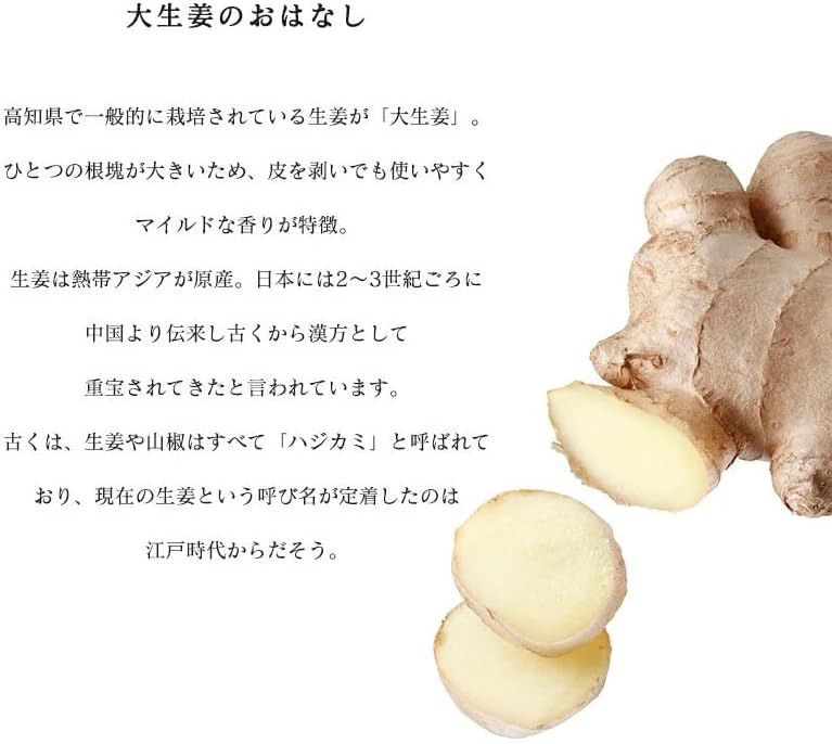 生姜 訳あり1kg/2kg 国産 大生姜 高知県産 ショウガ しょうが 野菜