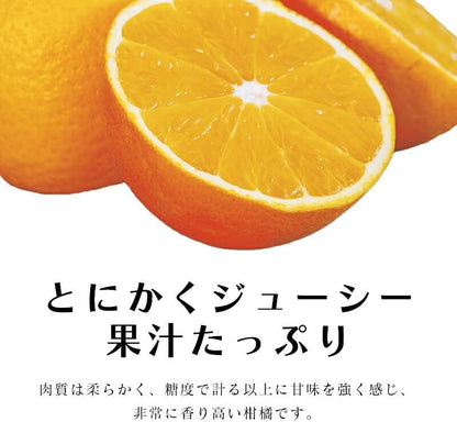 清見オレンジ 3kg／5kg／10kg 和歌山産 訳あり ご家庭用 箱 きよみ 清見タンゴール