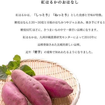 干し芋 訳あり 国産 無添加 250g／500g／1kg 紅はるか ほしいも 乾燥芋 しっとり 茨城県産 さつまいも