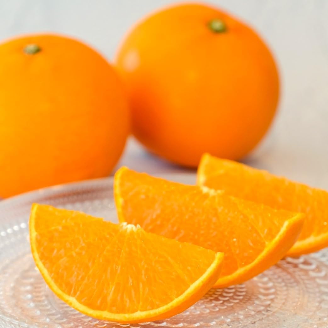 せとか 訳あり 愛媛県産 1kg／ 2kg／5kg／10kg サイズお任せ（Mサイズ多め） みかん 柑橘 家庭用
