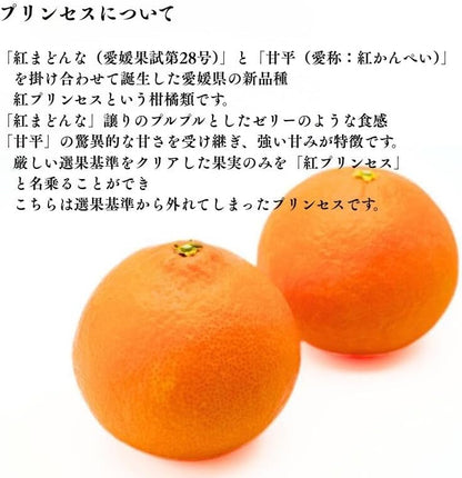 プリンセス1kg／2kg ／5kg ぷりんせす 訳あり 愛媛県産