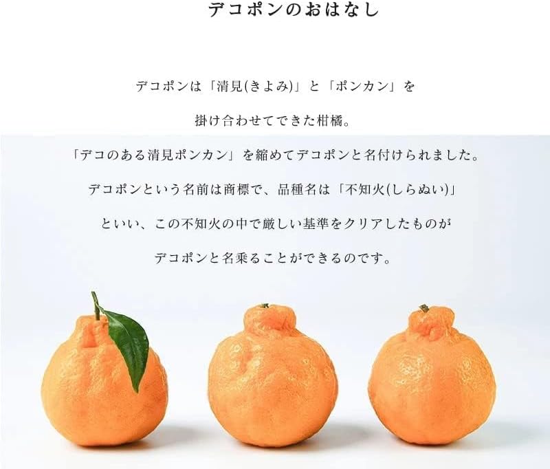 デコポン 訳あり 和歌山産2kg/5kg10kg 国産 (傷・変形・黒シミ・サイズ不揃い・サイズ偏りあり) でこぽん 不知火 しらぬい 柑橘 甘い 大玉 箱 みかん