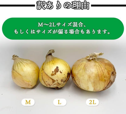 玉ねぎ 淡路島 3kg／5kg／10kg サイズお任せ(M〜2L) 国産 皮茶 玉葱 たまねぎ タマネギ 皮 保存野菜 常備野菜