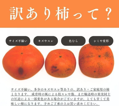 種なし柿　ご家庭用　3kg／5kg／7.5kg　和歌山県産　【スレ、汚れ、黒点あり】