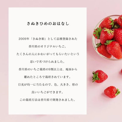 いちご　さぬきひめ　贈答用　400g　香川県産　【デラックス　化粧箱入り　クール便対応】
