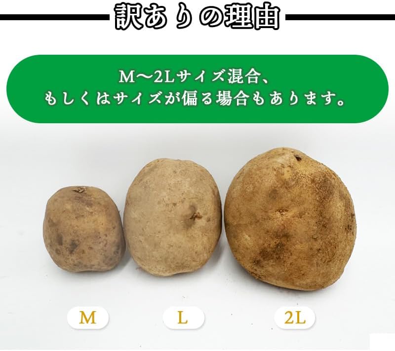 男爵3kg/5kg/10kg 北海道産 じゃがいも サイズお任せ(M〜2L) 訳あり 男爵イモ ジャガイモ 馬鈴薯 国産