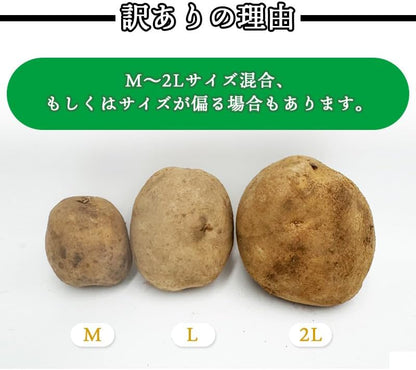 男爵3kg/5kg/10kg 北海道産 じゃがいも サイズお任せ(M〜2L) 訳あり 男爵イモ ジャガイモ 馬鈴薯 国産